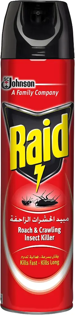 Raid Roach & Crawling Insects Killer- 300 ml
