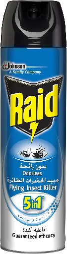 Raid Flying Insect Killer - 300 ML